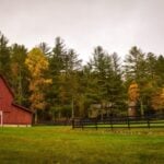 Barn Day
