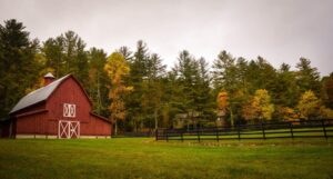 Barn Day