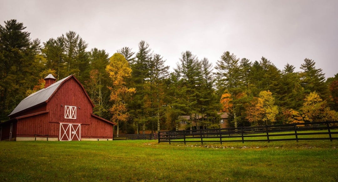 Barn Day — barn