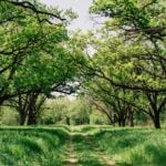 World Nature Conservation Day