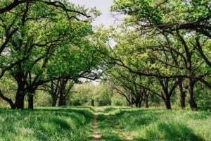 World Nature Conservation Day