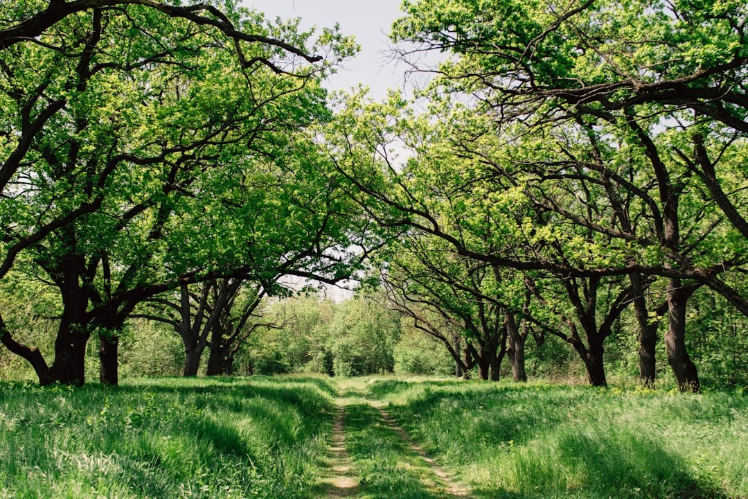 World Nature Conservation Day — nature conservation