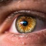 National Different Colored Eyes Day