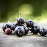 Blackcurrant Day