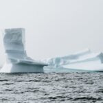 Arctic Sea Ice Day