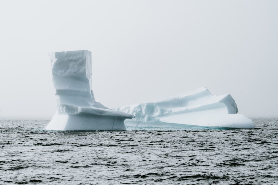 Arctic Sea Ice Day — arctic sea ice