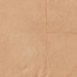 Paper Bag Day
