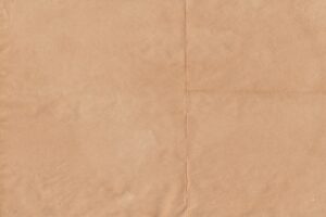 Paper Bag Day