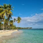 Caribbean Community Day