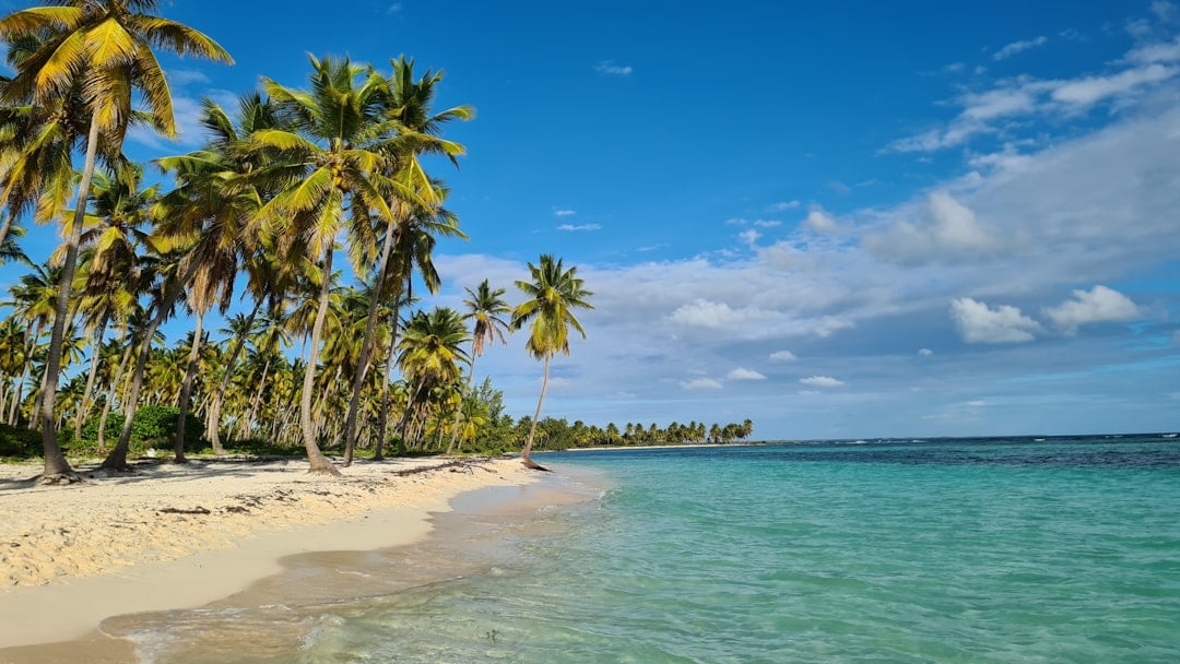 Caribbean Community Day — caribbean community