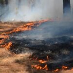 National Wildland Firefighter Day