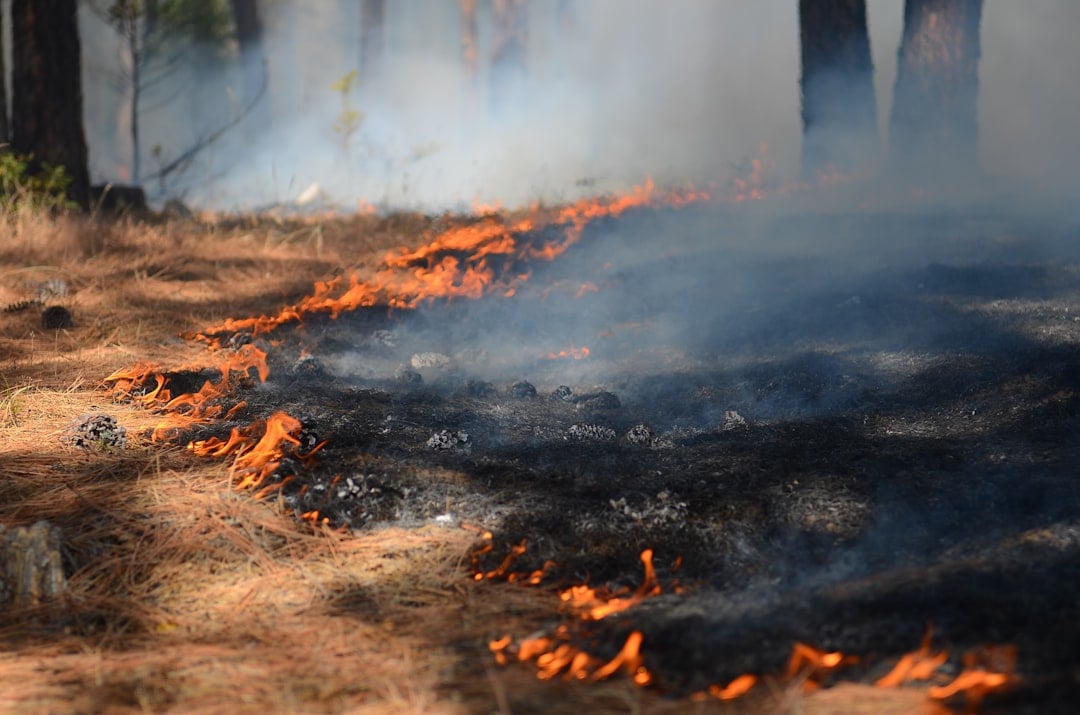 National Wildland Firefighter Day — wildland firefighter