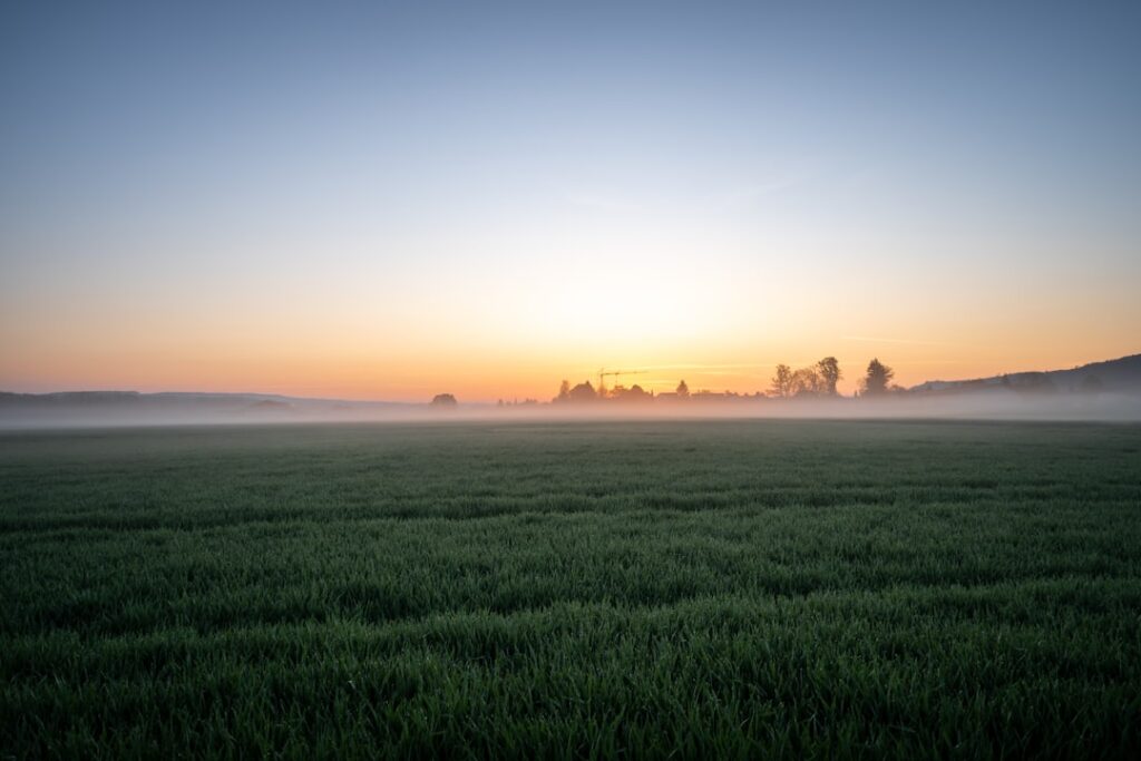 July Morning
