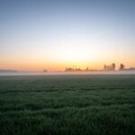 July Morning
