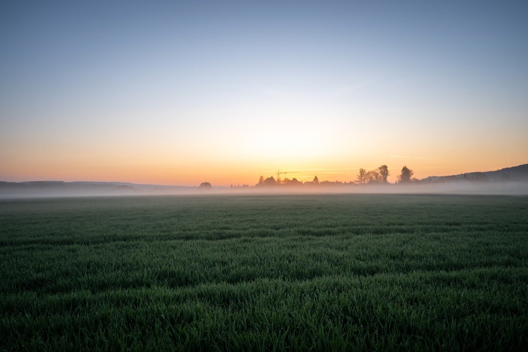 July Morning — july morning