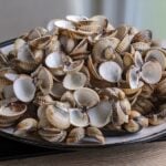National Fried Clam Day