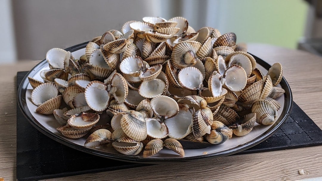 National Fried Clam Day — fried clam
