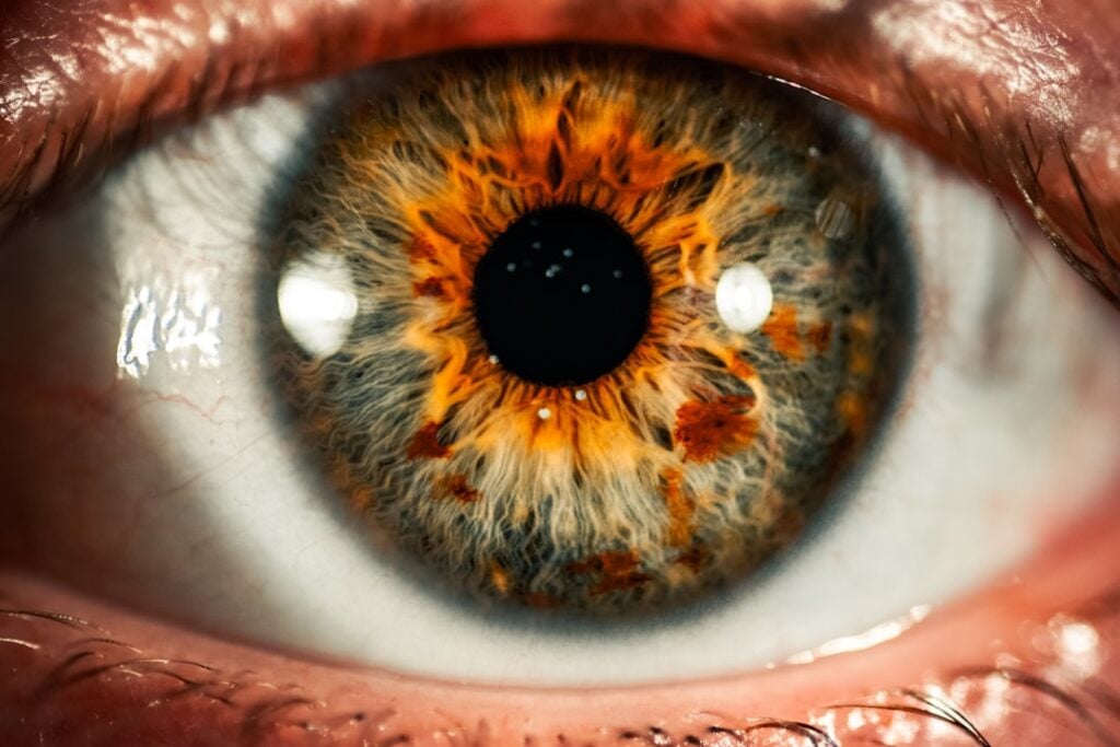 World Sight Day 2026