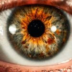 World Sight Day 2026