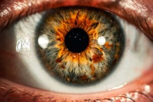 World Sight Day 2026