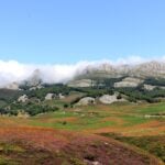 Cantabria – Cantabria Institutions Day