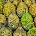 Durian Fruit Day