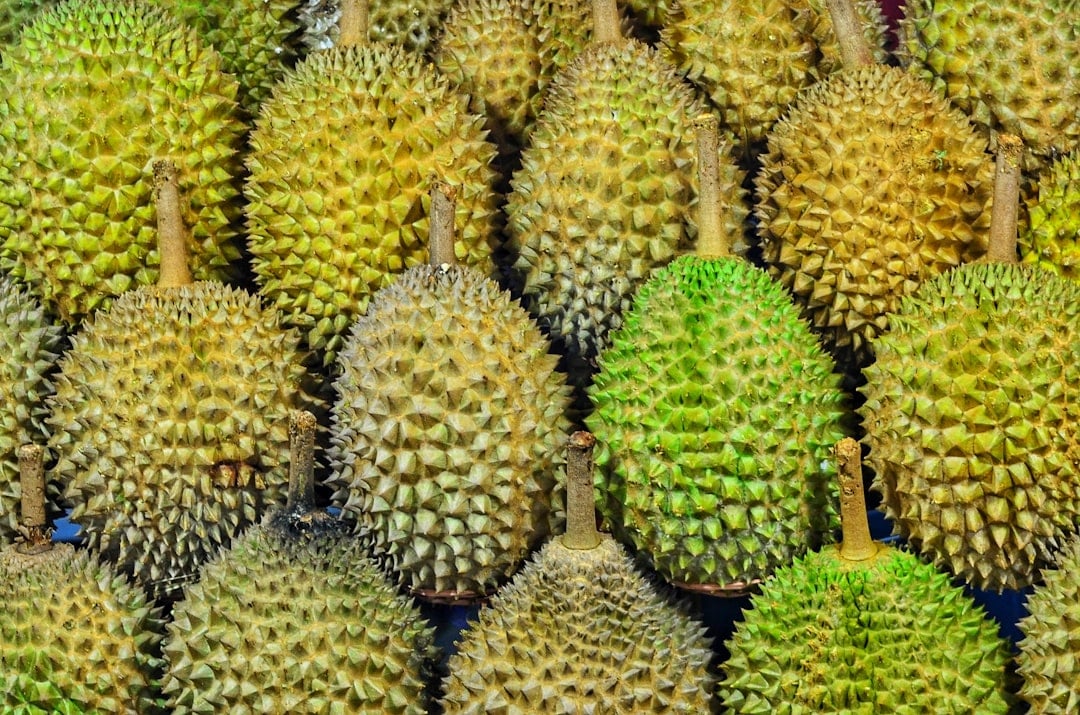 Durian Fruit Day — durian fruit