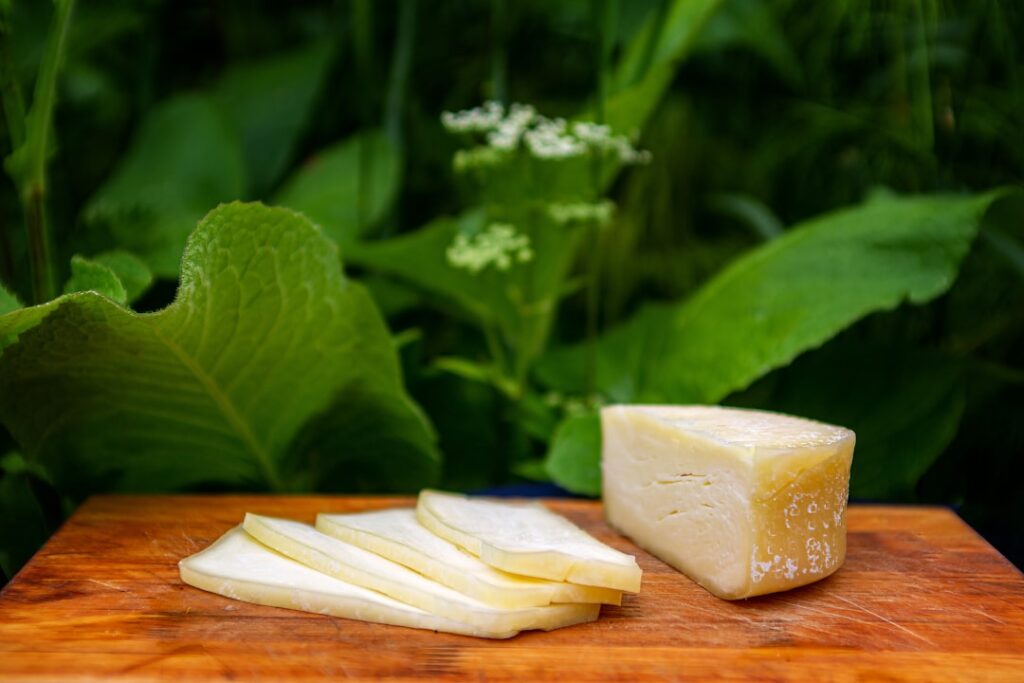 National Parmigiano Reggiano Day