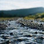 World Water Monitoring Day