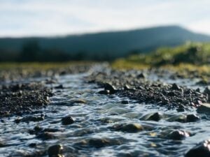 World Water Monitoring Day