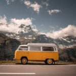 International Volkswagen Bus Day