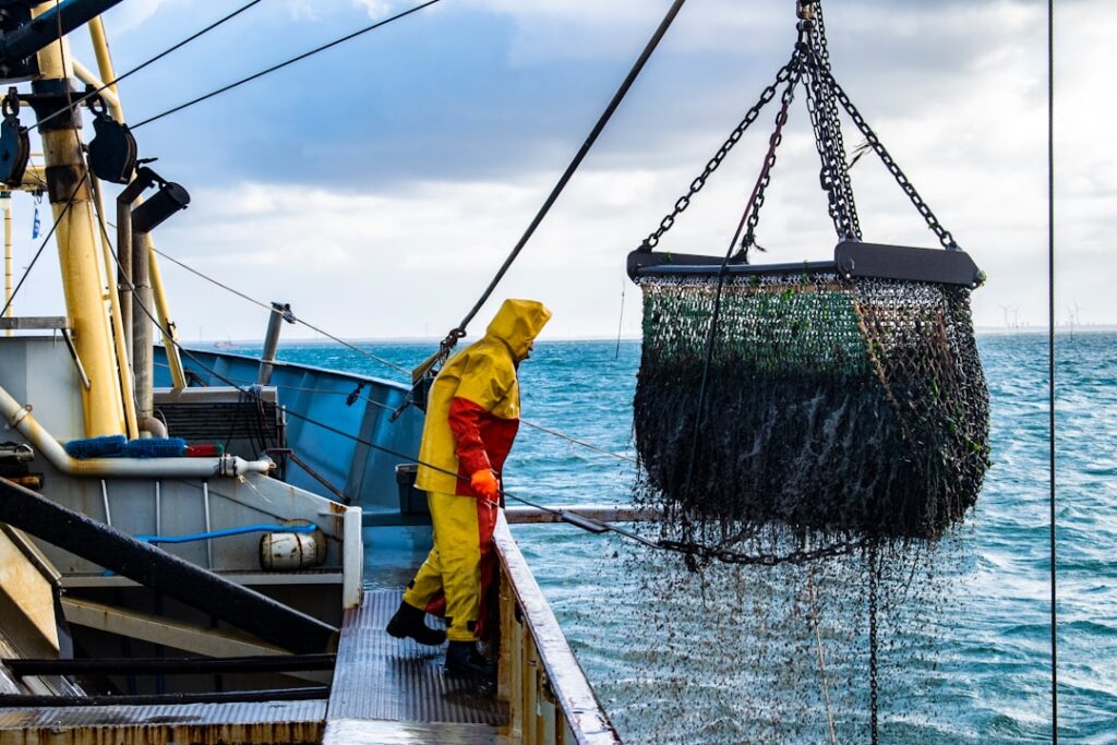 International Day for the Fight Against Illegal, Unreported and Unregulated Fishing