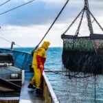 International Day for the Fight Against Illegal, Unreported and Unregulated Fishing