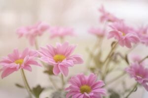 National Making Life Beautiful Day