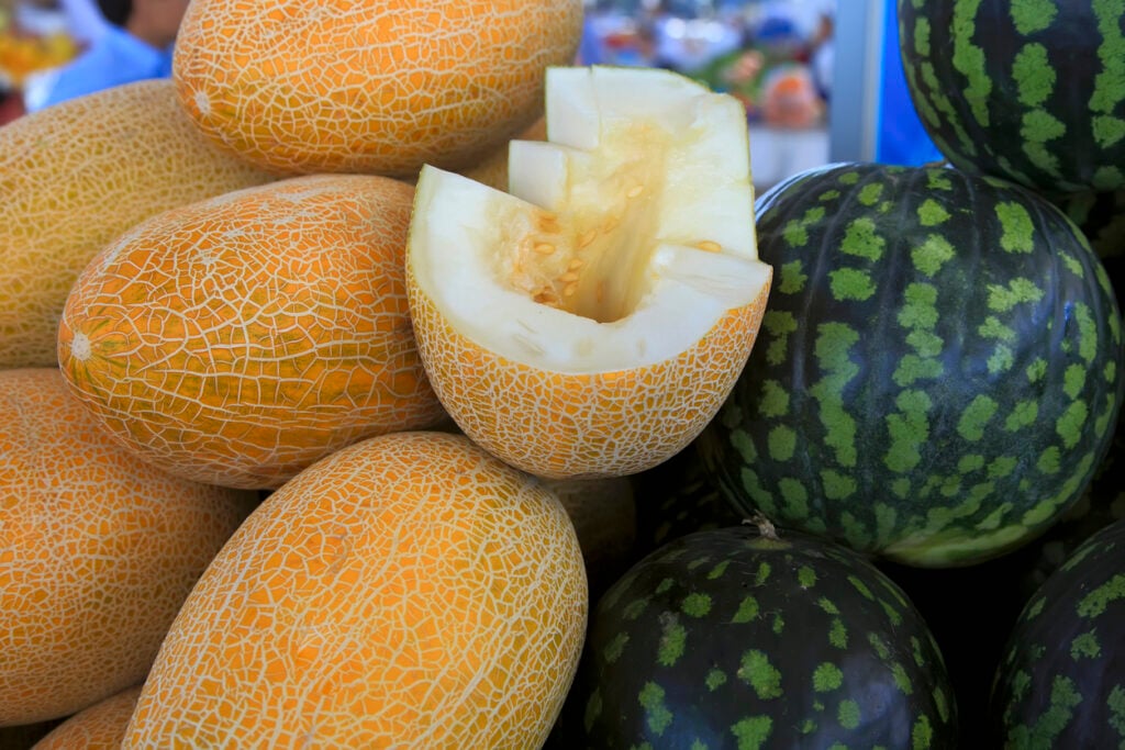Melon Day