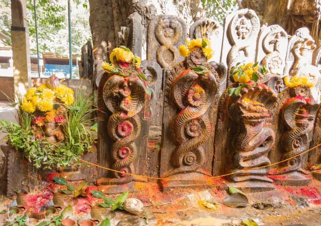 Nag Panchami