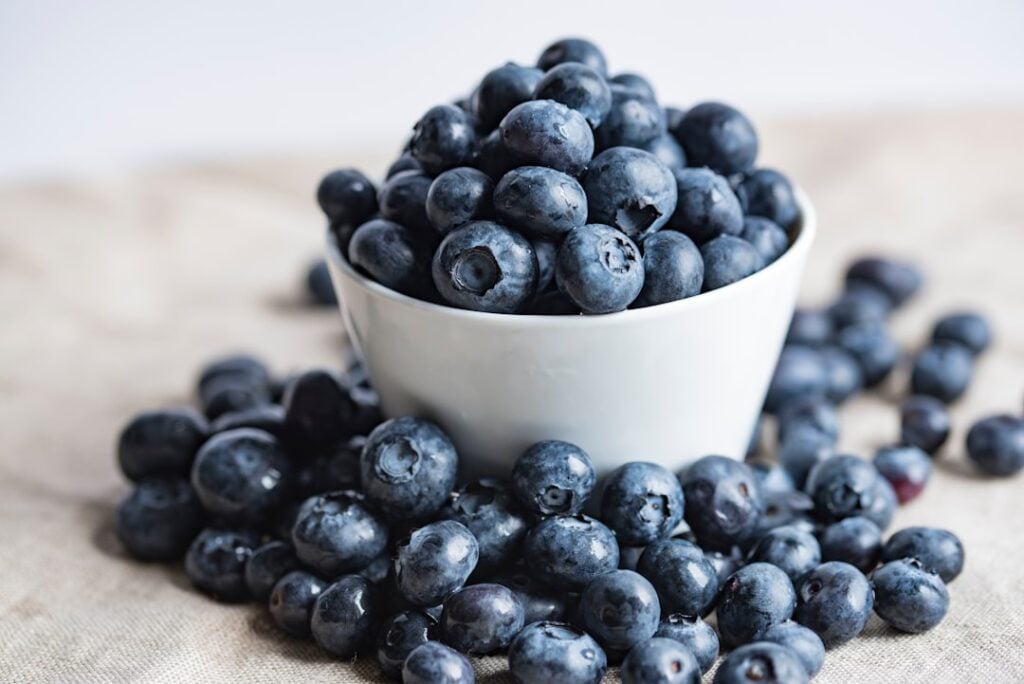 National Blueberry Popsicle Day
