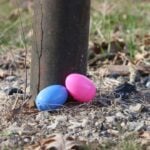 Great Egg Toss Day