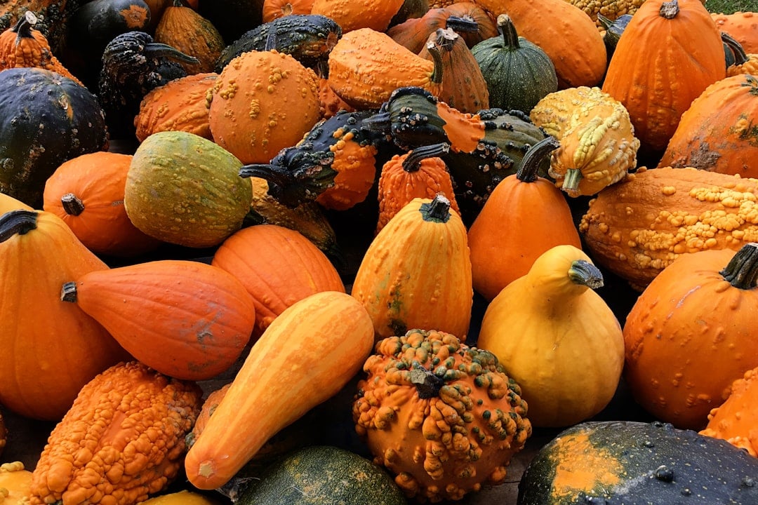 National Acorn Squash Day