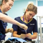 Pet Emergency Week 2026