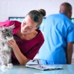 Pet Emergency Week 2026