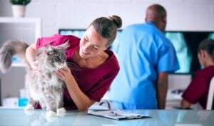 Pet Emergency Week 2026